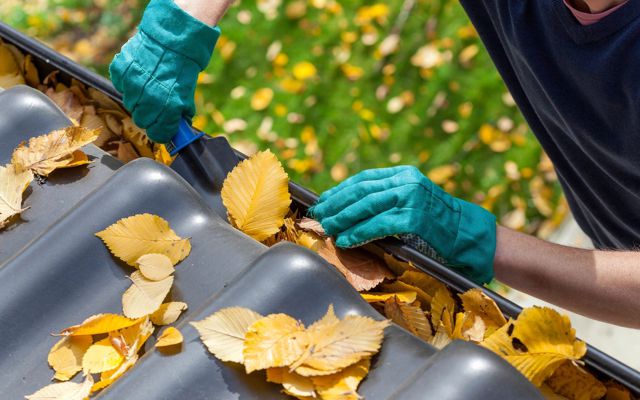 Gutter Cleaning